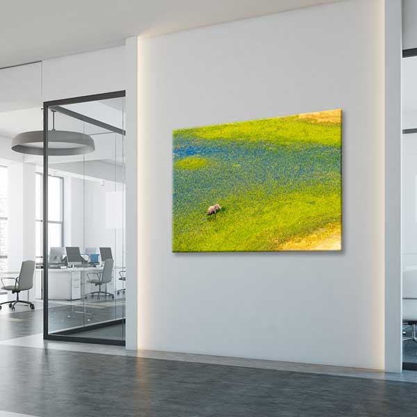 Afrika Sulak Alan ve Fil Kanvas Tablo 13301