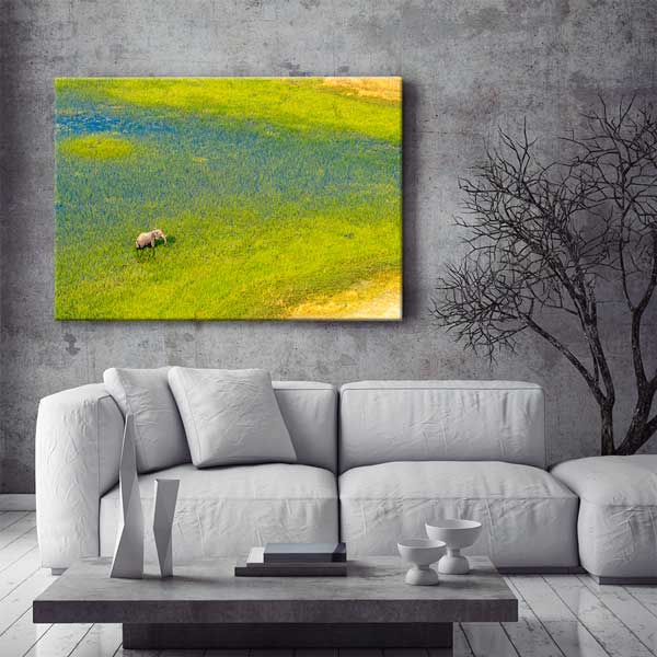 Afrika Sulak Alan ve Fil Kanvas Tablo 13301