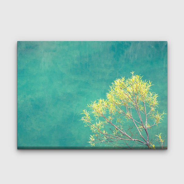 Minimalist Doğa ve Turkuaz Arka Plan Kanvas Tablo 13345