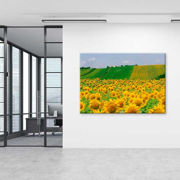 Günebakan Tarlası Manzara Kanvas Tablo 13364