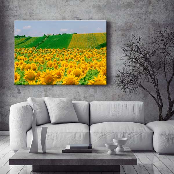 Günebakan Tarlası Manzara Kanvas Tablo 13364