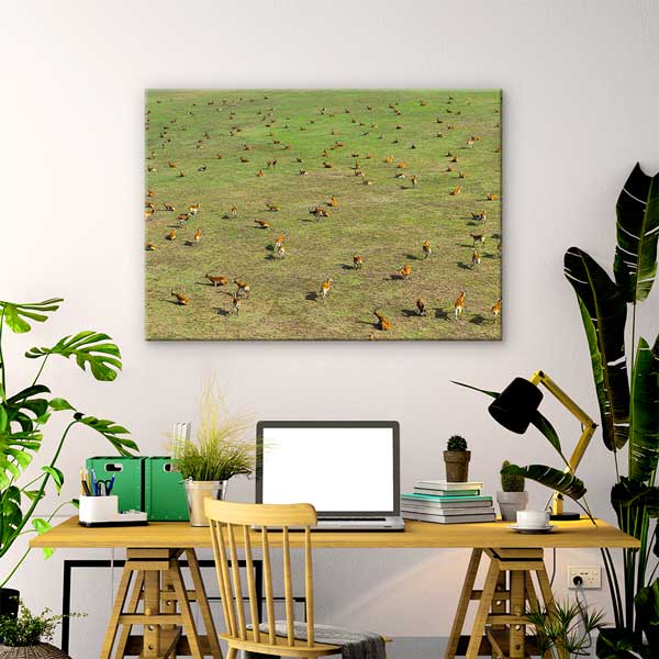 wall-canvas-design-13306-01 Afrika Antilop Sürüsü Kanvas Tablo 13306