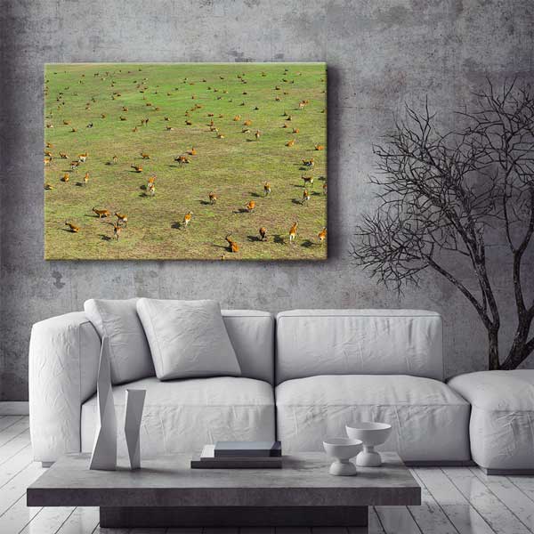 wall-canvas-design-13306-02 Afrika Antilop Sürüsü Kanvas Tablo 13306