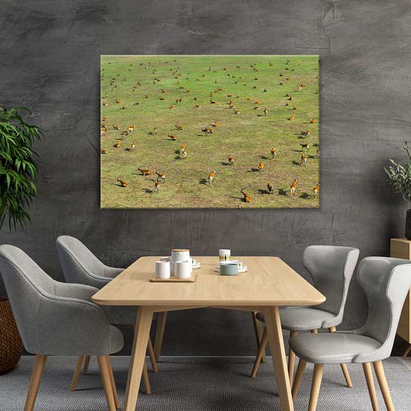 wall-canvas-design-13306-03 Afrika Antilop Sürüsü Kanvas Tablo 13306