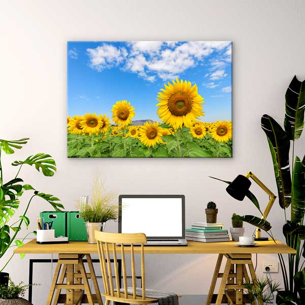 Günebakan Ayçiçeği Tarlası ve Mavi Gökyüzü Kanvas Tablo 13354