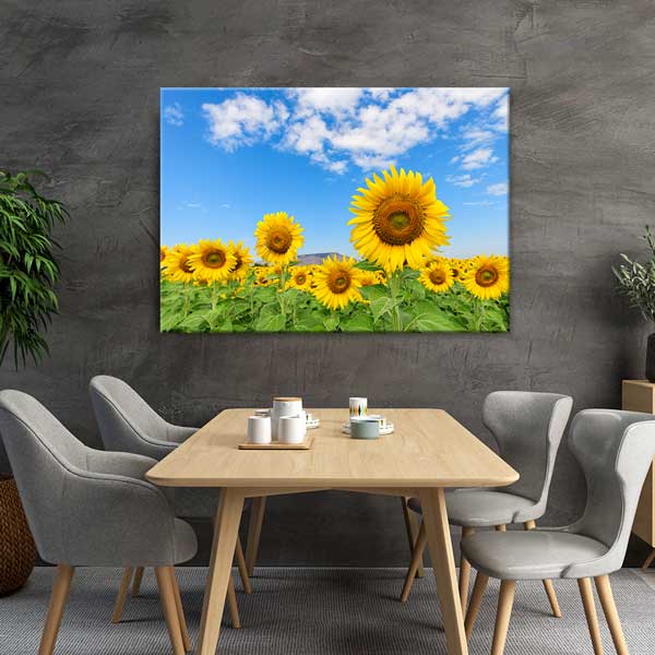 Günebakan Ayçiçeği Tarlası ve Mavi Gökyüzü Kanvas Tablo 13354