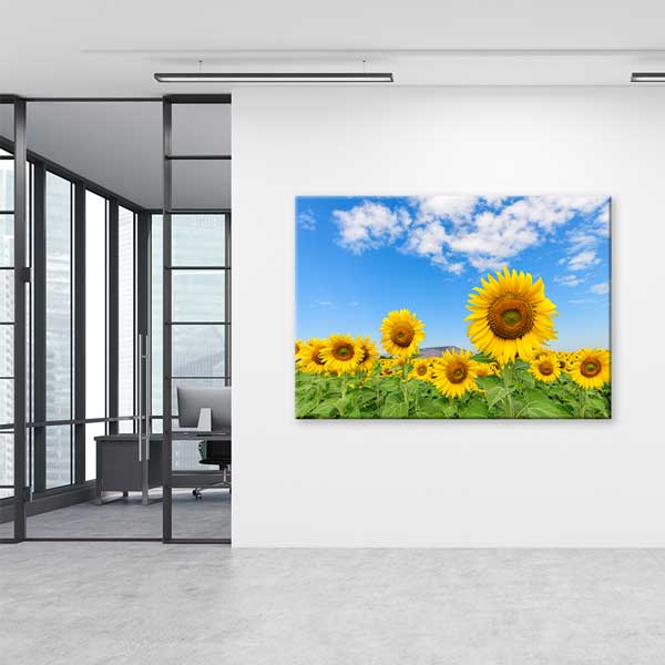 Günebakan Ayçiçeği Tarlası ve Mavi Gökyüzü Kanvas Tablo 13354