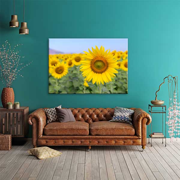 Yakından Çekim Ayçiçeği ve Sarı Tarlalar Kanvas Tablo 13355