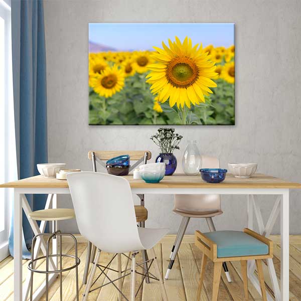 Yakından Çekim Ayçiçeği ve Sarı Tarlalar Kanvas Tablo 13355
