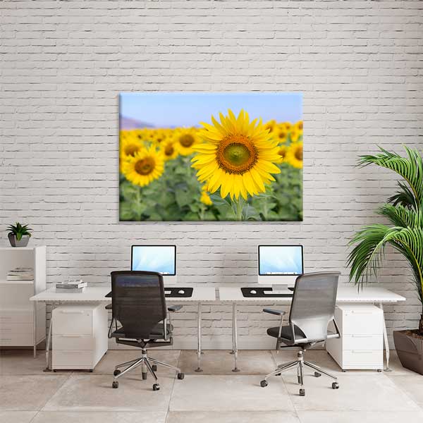 Yakından Çekim Ayçiçeği ve Sarı Tarlalar Kanvas Tablo 13355