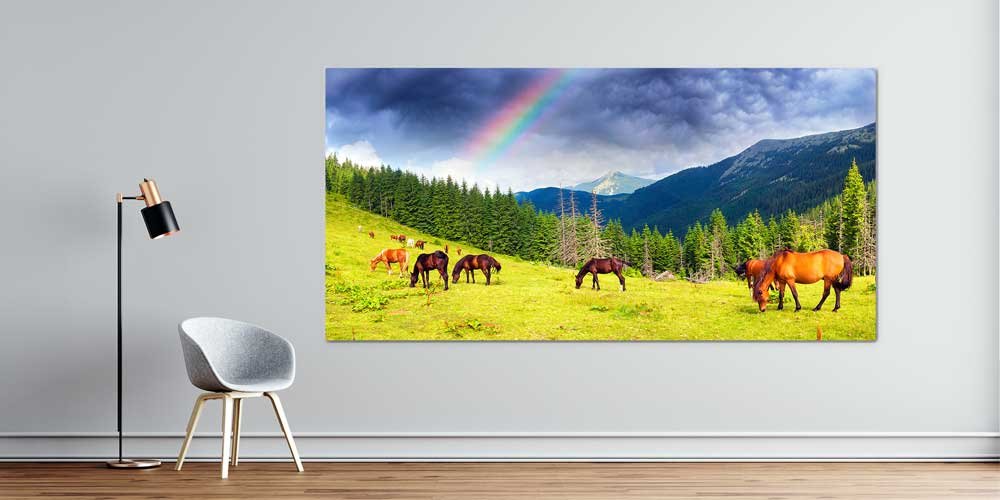 Gökkuşağı Altında Dağ Çayırında Atlar Büyük Ebat Duvar Dekoru 14087