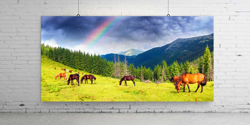 wall-canvas-design-14087-02 Gökkuşağı Altında Dağ Çayırında Atlar Büyük Ebat Duvar Dekoru 14087