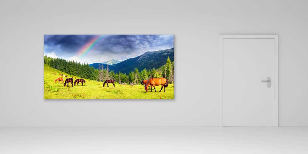 wall-canvas-design-14087-04 Gökkuşağı Altında Dağ Çayırında Atlar Büyük Ebat Duvar Dekoru 14087