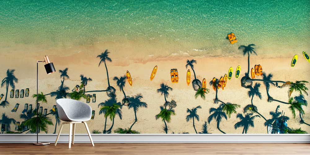 Tropik Sahil Drone Çekimi Kayak ve Palmiye Duvar Kaplaması 12887