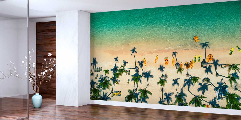 Tropik Sahil Drone Çekimi Kayak ve Palmiye Duvar Kaplaması 12887