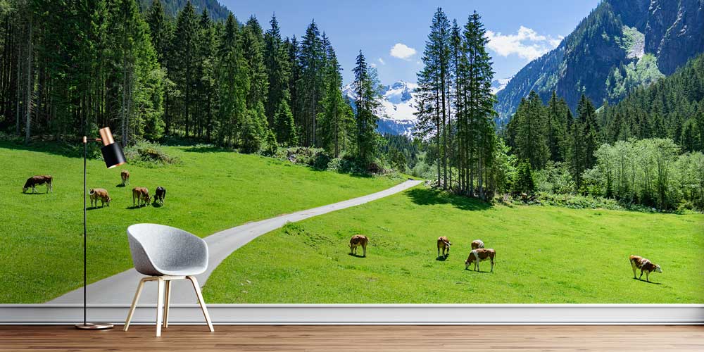 Alp Dağları Eteklerinde Yeşil Çayır ve Kırsal Yol Duvar Kağıdı 13054