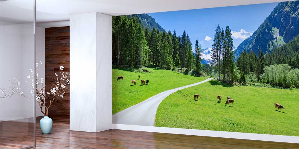 wall-cover-decor-13054-01 Alp Dağları Eteklerinde Yeşil Çayır ve Kırsal Yol Duvar Kağıdı 13054