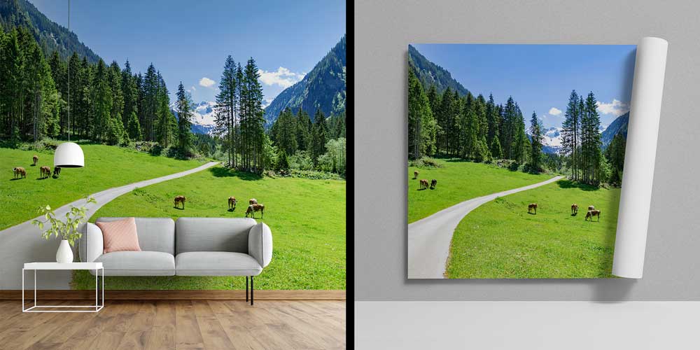 wall-cover-decor-13054-03 Alp Dağları Eteklerinde Yeşil Çayır ve Kırsal Yol Duvar Kağıdı 13054