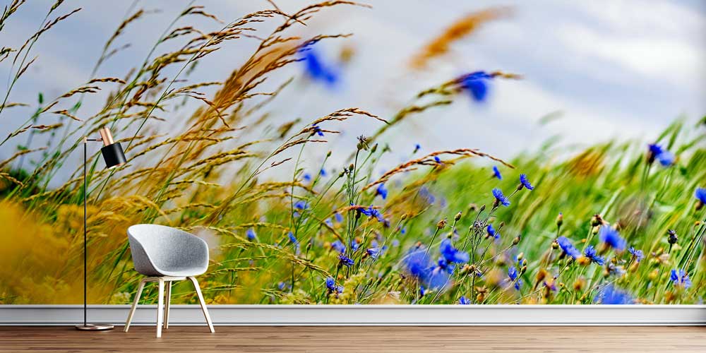 Turkuaz okyanus dalgalarıyla çevrili kayalık kıyı üzerinde yer alan sahil kasabasının hava çekimi manzarası. 12995