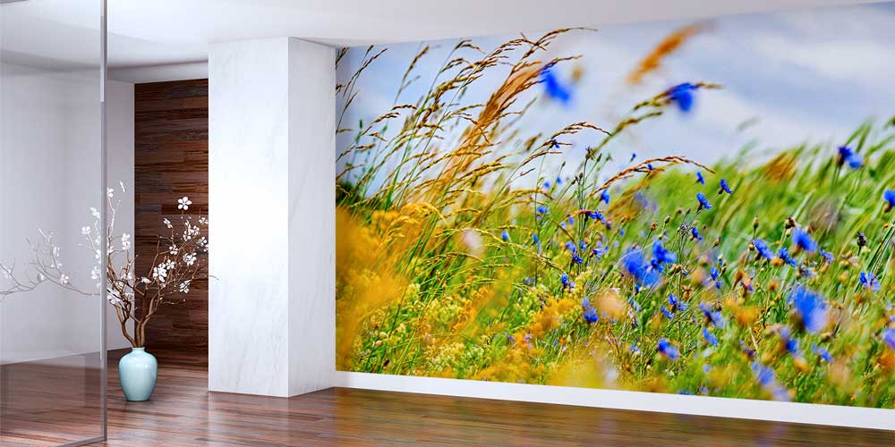 Turkuaz okyanus dalgalarıyla çevrili kayalık kıyı üzerinde yer alan sahil kasabasının hava çekimi manzarası. 12995