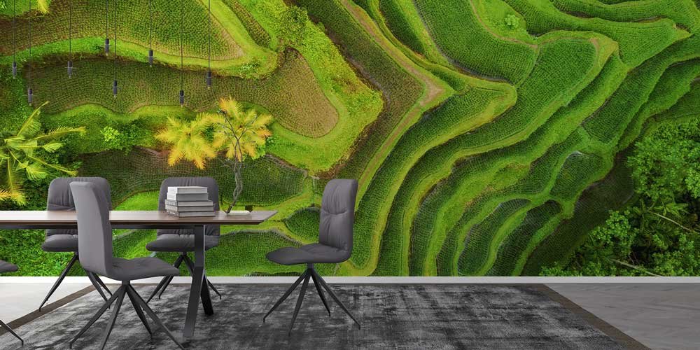 Yeşil Teras Pirinç Tarlaları Kuşbakışı Duvar Kaplaması 12863