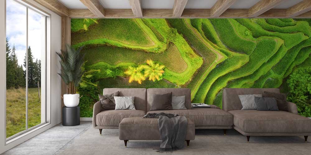Yeşil Teras Pirinç Tarlaları Kuşbakışı Duvar Kaplaması 12863