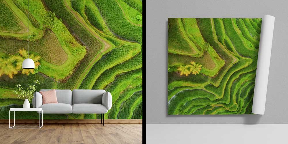 Yeşil Teras Pirinç Tarlaları Kuşbakışı Duvar Kaplaması 12863