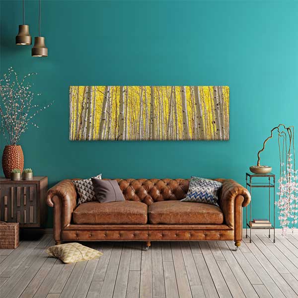 wall-decor-13827-01 Altın Sarısı Huş Ormanı Panoramik Doğa Manzarası Duvar Tablosu 13827