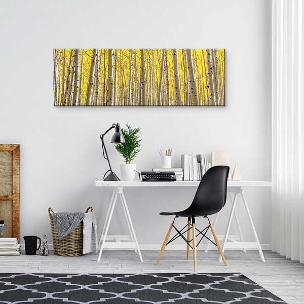 wall-decor-13827-02 Altın Sarısı Huş Ormanı Panoramik Doğa Manzarası Duvar Tablosu 13827