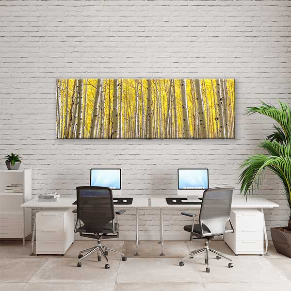 wall-decor-13827-03 Altın Sarısı Huş Ormanı Panoramik Doğa Manzarası Duvar Tablosu 13827