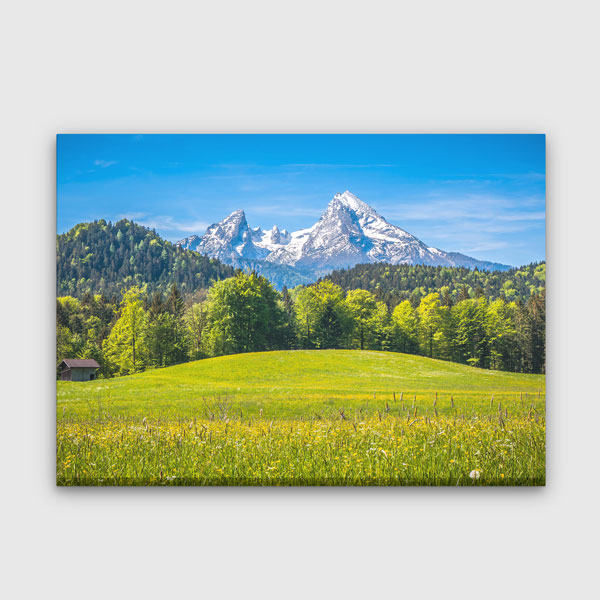 wall-decor-art-13391-00 Yeşil Ovalar ve Karla Kaplı Dağ Manzarası Duvar Tablosu 13391