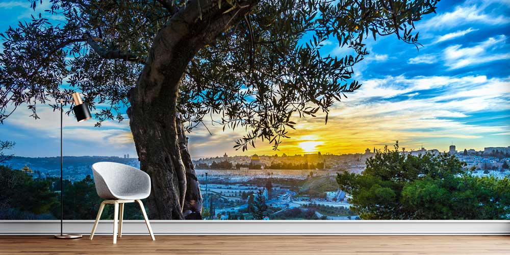 Zeytin Ağacı ve Gün Batımı Şehir Manzarası Duvar Kağıdı 12835