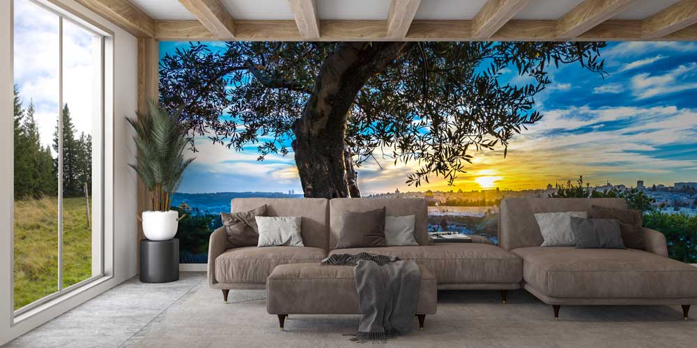 Zeytin Ağacı ve Gün Batımı Şehir Manzarası Duvar Kağıdı 12835