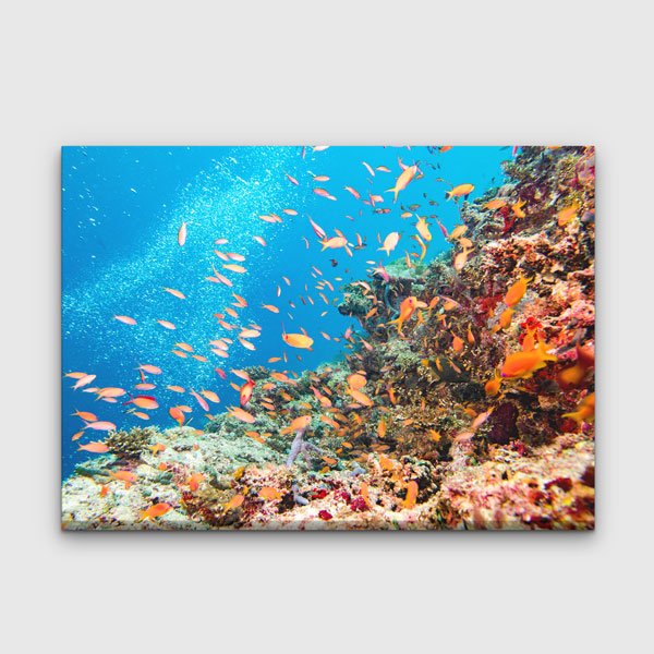 Tropikal Mercan ve Renkli Balıklar Kanvas Tablo 13330