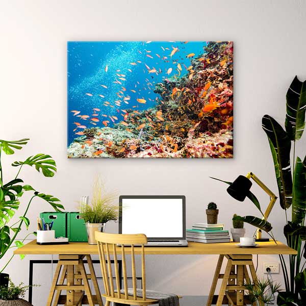 Tropikal Mercan ve Renkli Balıklar Kanvas Tablo 13330