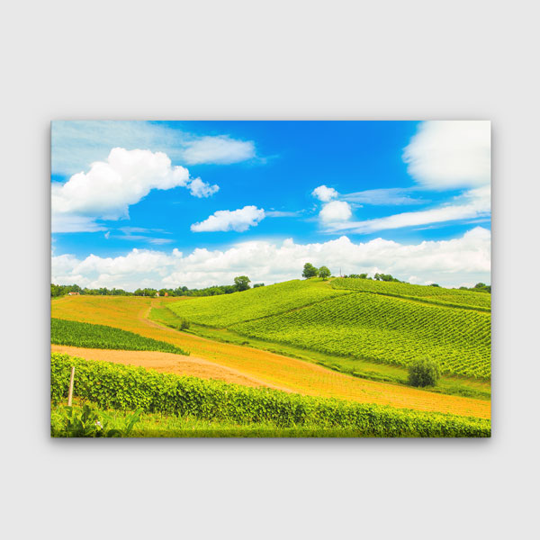 wall-decoration-13443-00 Yeşil Tepeler & Doğa Manzarası Kanvas Tablo 13443