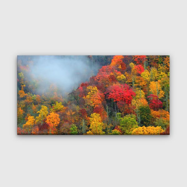 Sisli Sonbahar Ormanı Renkli Doğa Manzarası Duvar Tablosu – 13770