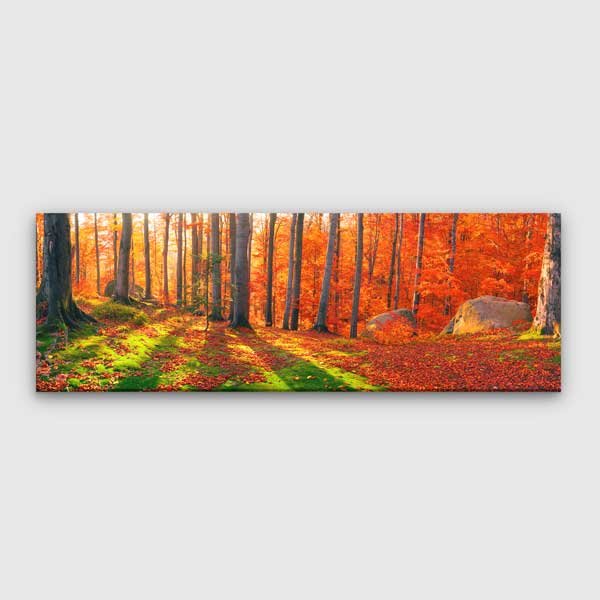 wall-decoration-13804-00 Sonbahar Ormanı ve Işık Gölgeleri Kanvas Tablo 13804