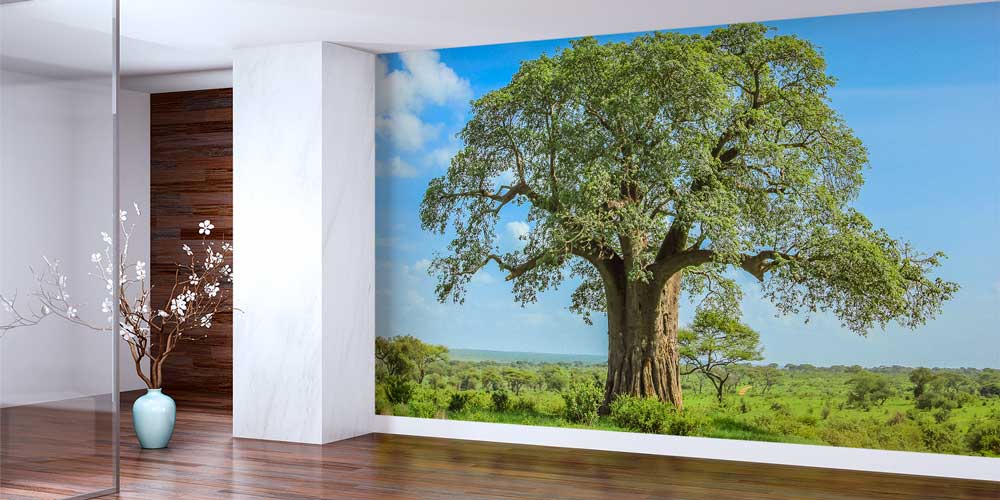 Afrika Baobab Ağacı Manzara Duvar Kağıdı 12817