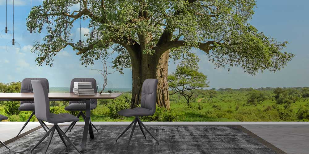 Afrika Baobab Ağacı Manzara Duvar Kağıdı 12817