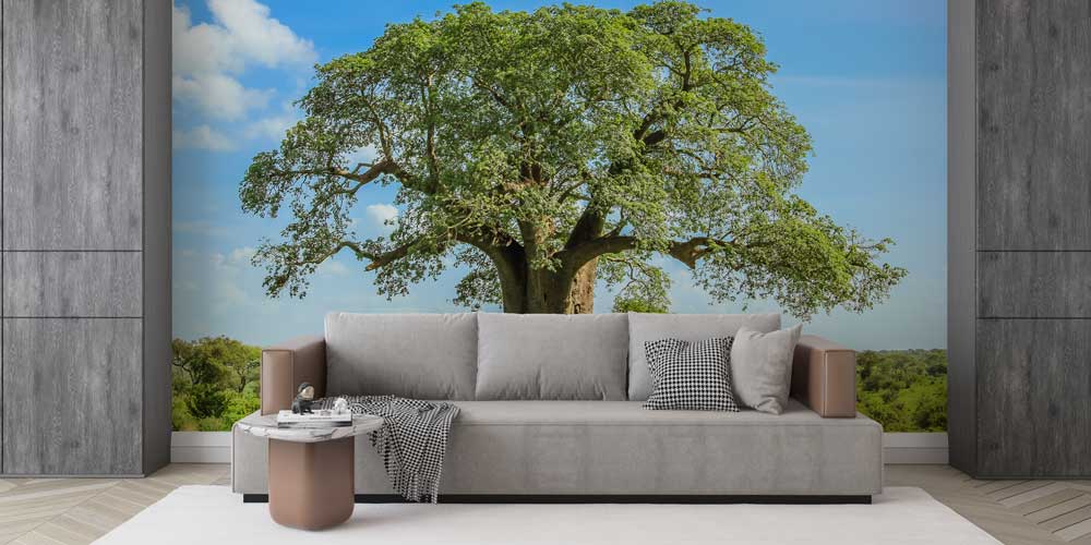 Afrika Baobab Ağacı Manzara Duvar Kağıdı 12817