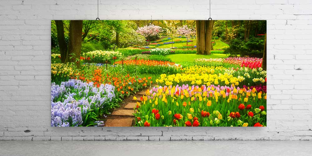 Renkli Lale Bahçesi Çiçek Yolu Panoramik Büyük Ebat Duvar Dekoru 14220