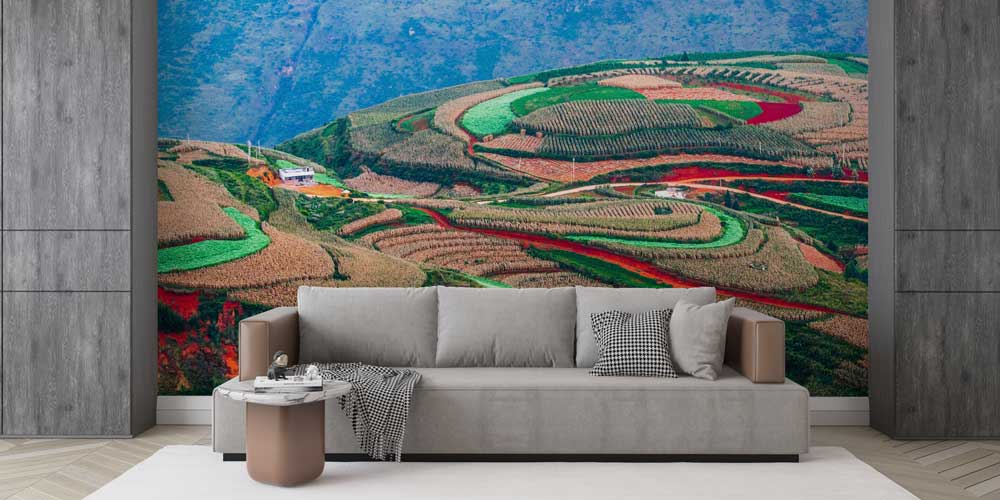 Renkli Tarım Arazileri Panoramik Duvar Kaplaması 12854
