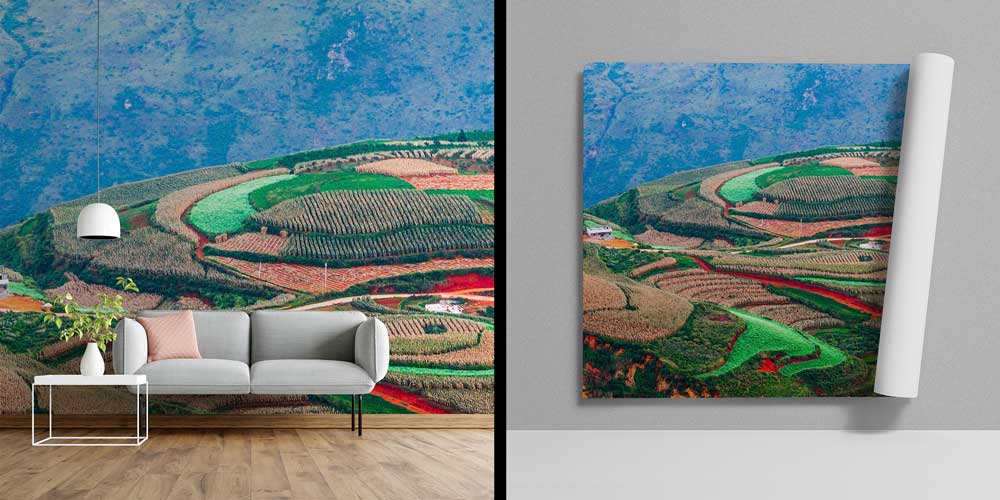 Renkli Tarım Arazileri Panoramik Duvar Kaplaması 12854