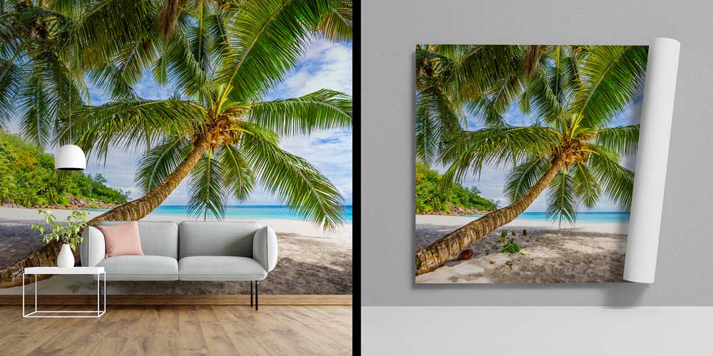 Tropikal Palmiye Sahili Duvar Kağıdı 12816