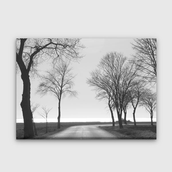 Siyah Beyaz Yol ve Ağaçlar Manzara Kanvas Tablo 2194