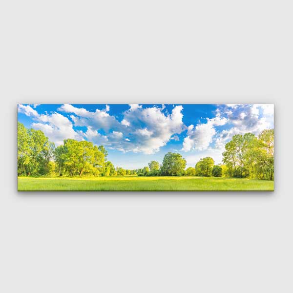 Panoramik Yeşil Doğa Manzarası Kanvas Tablo 13914