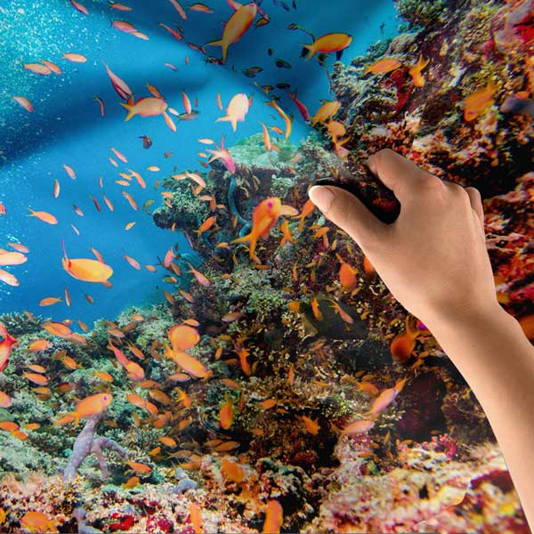 Renkli Mercan Resifi ve Tropikal Balıklar Duvar Örtüsü 14306