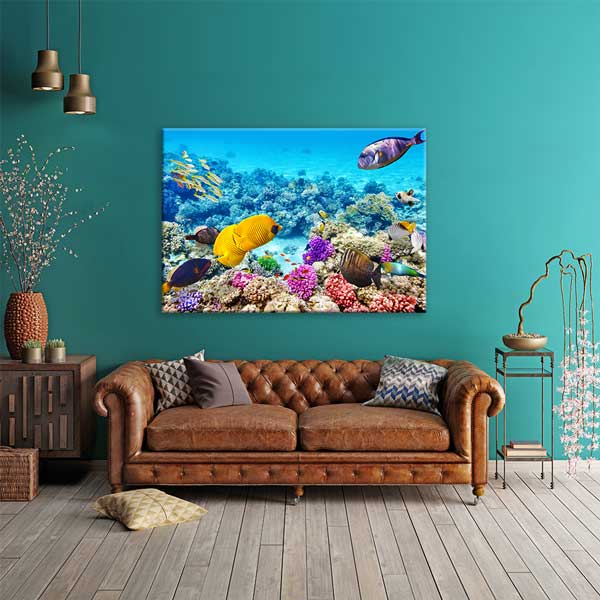 Tropikal Balıklar ve Mercan Resifi Kanvas Tablo – Sualtı Dünyası Fotoğraf Sanatı 13325
