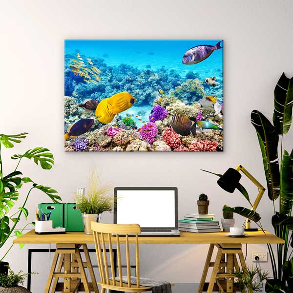 Tropikal Balıklar ve Mercan Resifi Kanvas Tablo – Sualtı Dünyası Fotoğraf Sanatı 13325